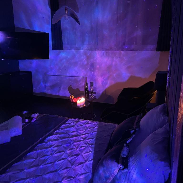 L Emeraude des marais loveroom Bourges - Appartement 1 Chambre - 4