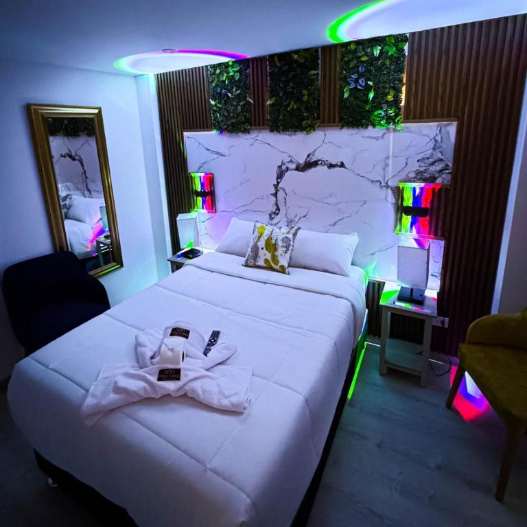 Yanahuara HOTEL PLAZA - Habitación Superior - 1 cama grande - 3