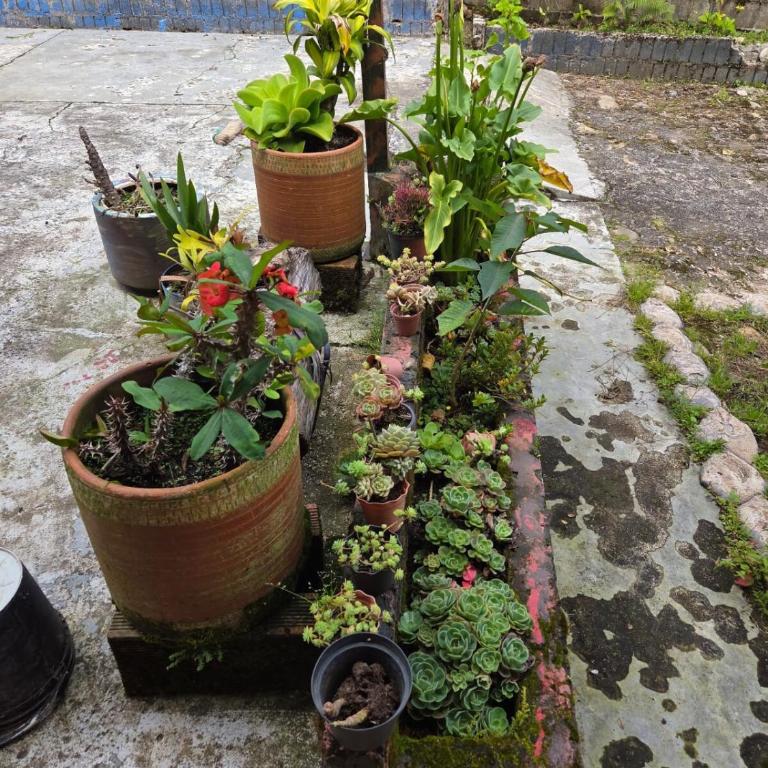 Finca la Martina - Apartamento - 8