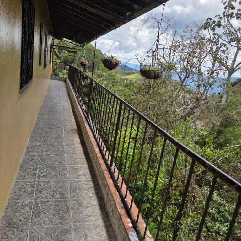 Finca la Martina - Apartamento - 11