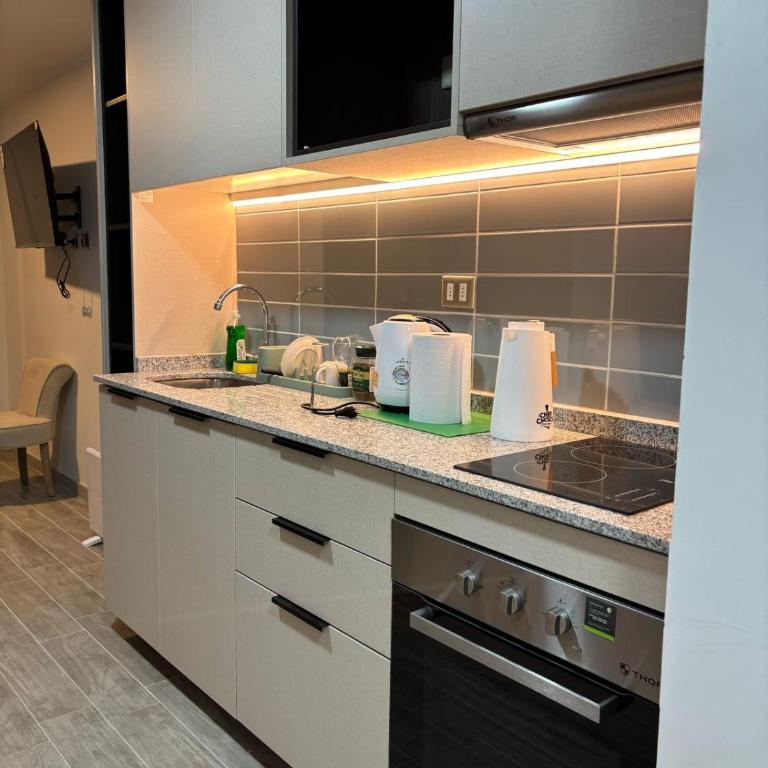 Barrio República - Movistar Arena - Ingeniería - One-Bedroom Apartment - 7