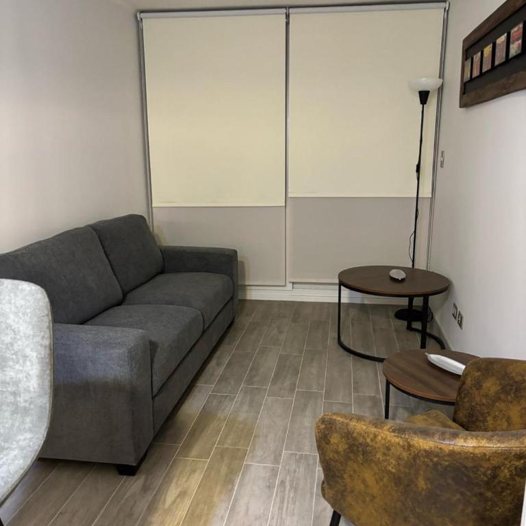 Barrio República - Movistar Arena - Ingeniería - One-Bedroom Apartment - 5