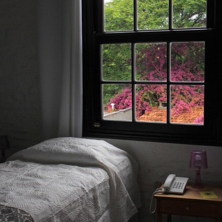 Santoral Restaurante y Posada Pet Friendly - Double or Twin Room with Garden View - 6