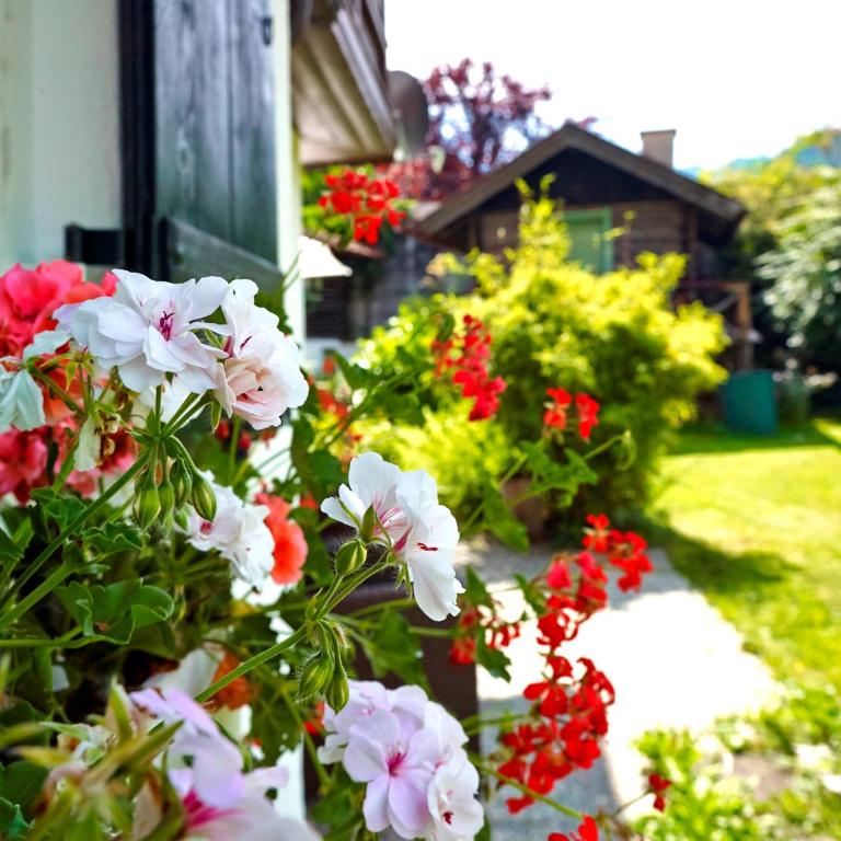 Ferienhaus Waxenstein - Haus mit 5 Schlafzimmern - 4