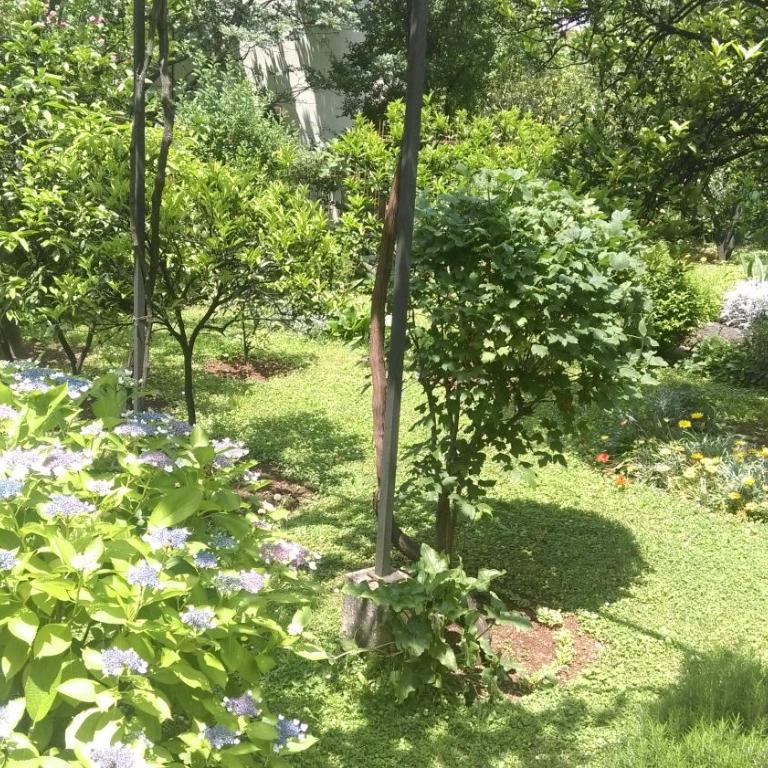 Apartment Ruzica Krstic - Apartment with Sea View - 19