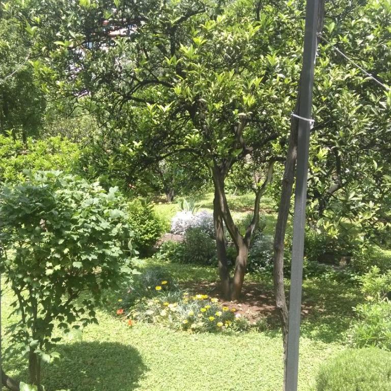 Apartment Ruzica Krstic - Apartment with Sea View - 20