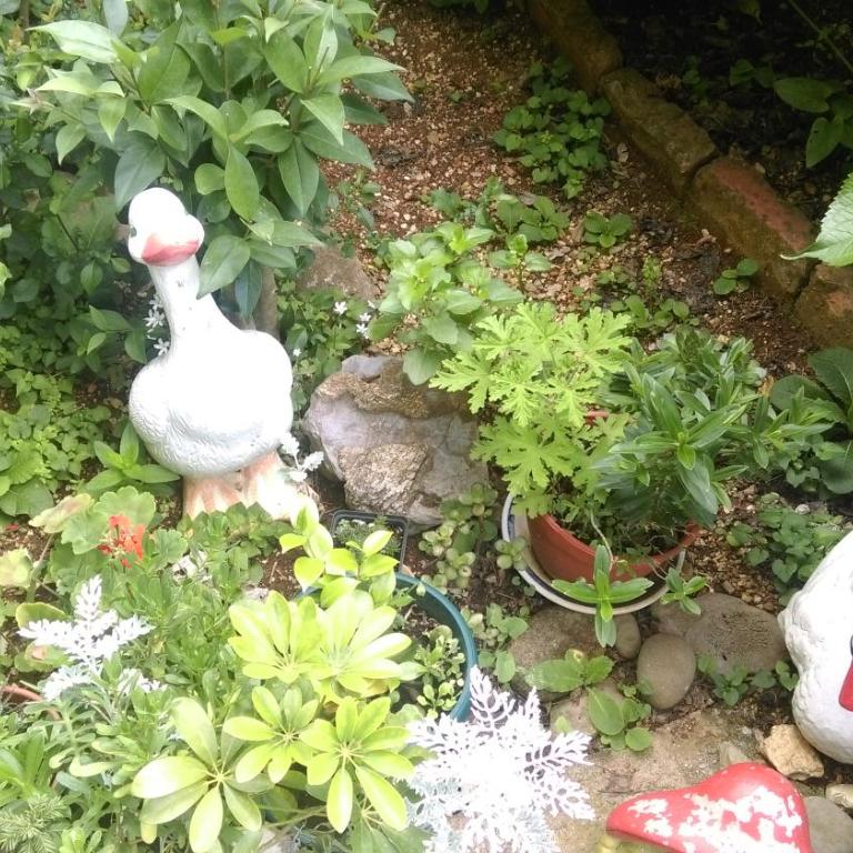 Apartment Ruzica Krstic - Apartment with Sea View - 49