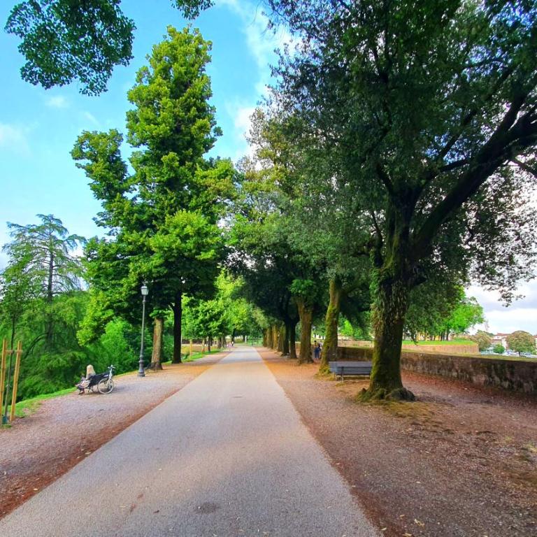 Casina Bella Di Lucca - Appartamento - 9