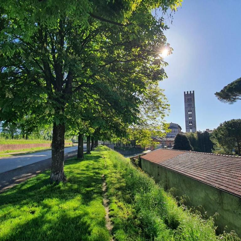 Casina Bella Di Lucca - Appartamento - 31