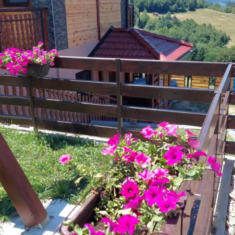 Apartman Sofiana - Apartman sa 1 Spavaćom Sobom - 1