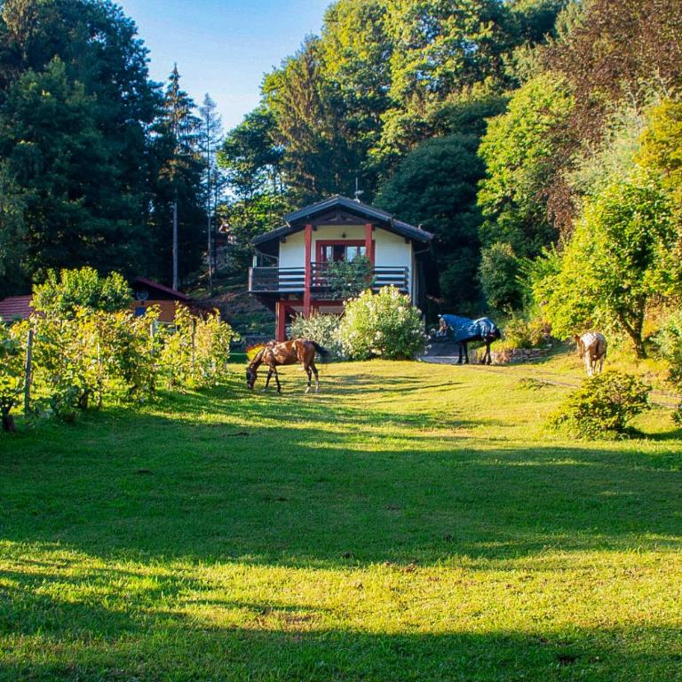 Sorti Alpaca by Lago Reisen - Appartement - 8
