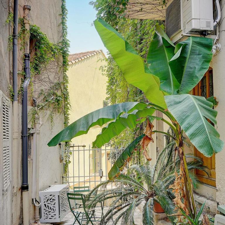Sandra - Atypical and Charming - Suquet - VCA - Studio avec Terrasse - 29