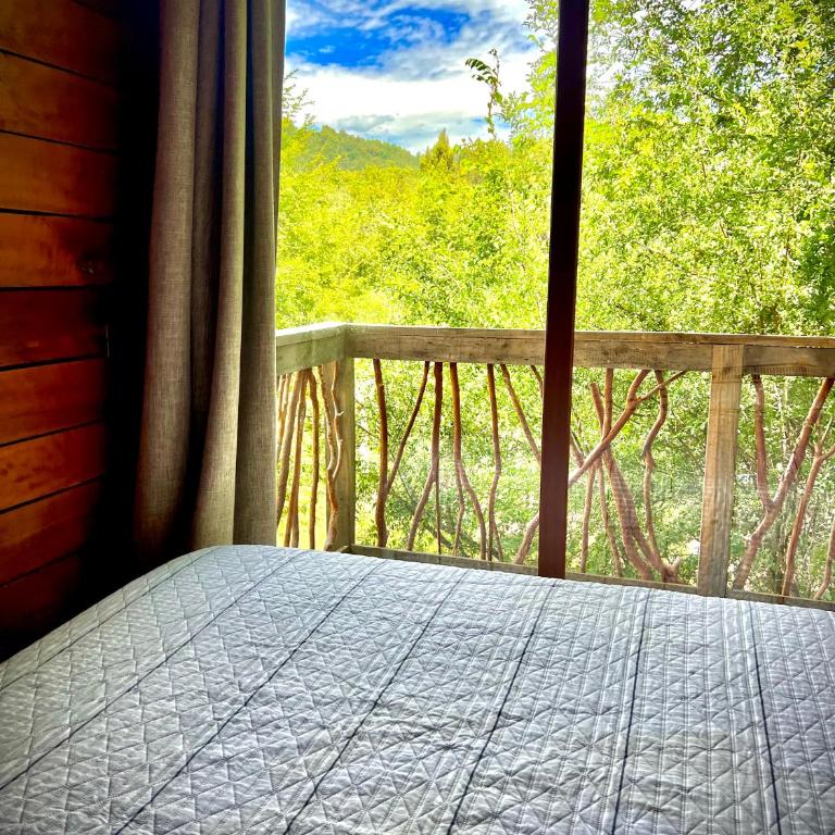 Cabaña Los Temos - Le Petit chalet - Apartamento de 1 dormitorio - 2