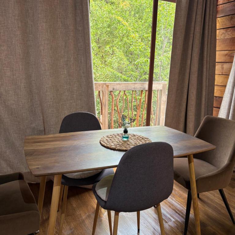 Cabaña Los Temos - Le Petit chalet - Apartamento de 1 dormitorio - 3