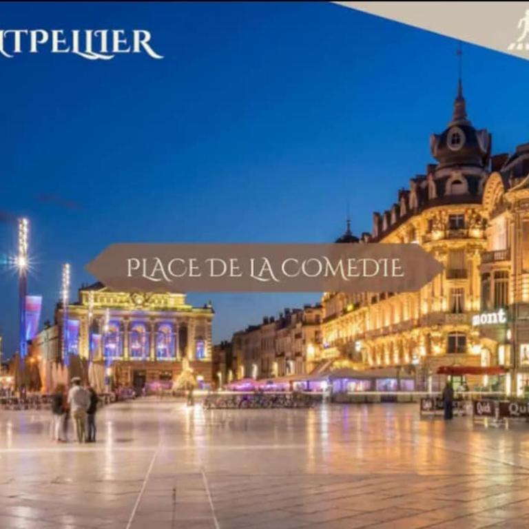 Studio centre 10 min gare comedie - Studio-Apartment - 31