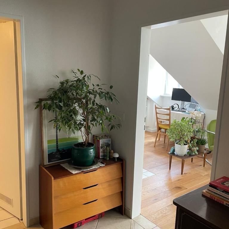 Cozy apartment in Munich - Appartement 1 Chambre - 8