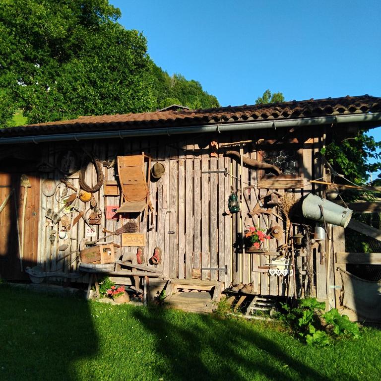 Fuchs Alm - Apartment with Garden View - 22