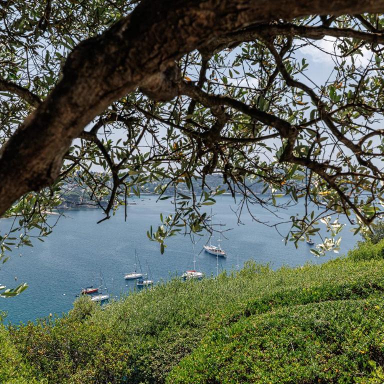MY CASA - VILLEFRANCHE RESTANQUES - Panoramic sea view 2 bedrooms Swimming pool - Appartement - 44