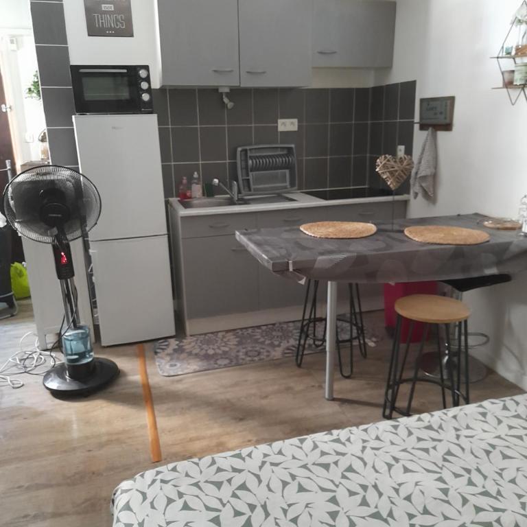 Studio 23 m2, proche centre, calme, WIFI, pk - Apartment mit 1 Schlafzimmer - 10