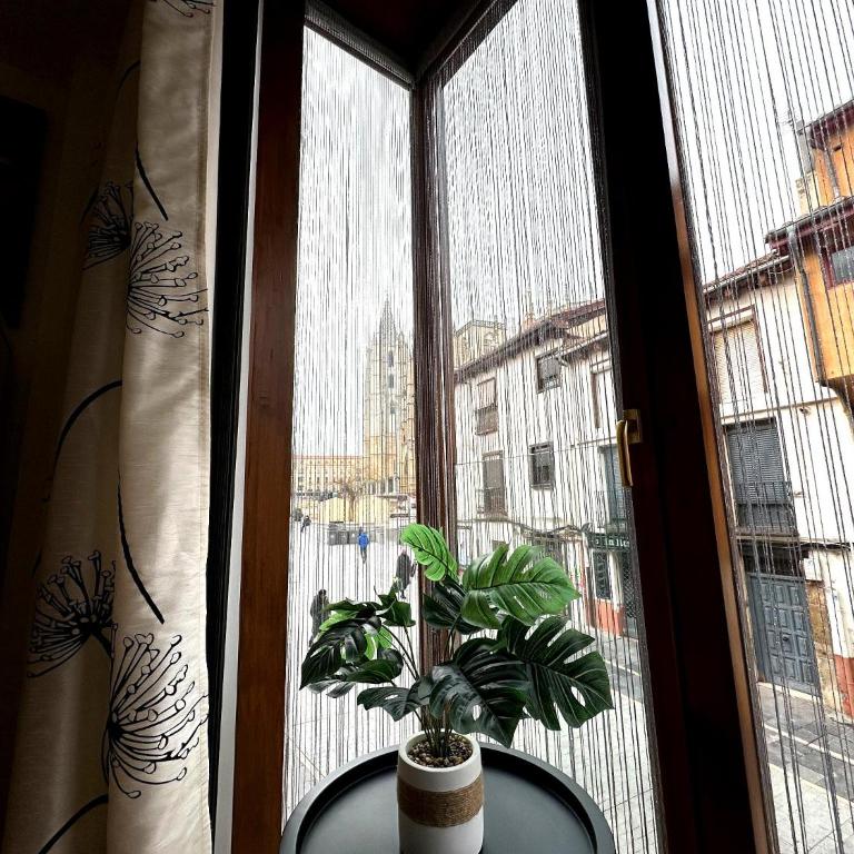 El Brezo con vistas a la Pulchra - Apartamento - 1
