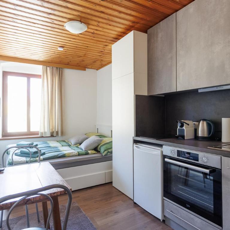 MiniZell - Small Cosy Central - Studio Apartment - 4