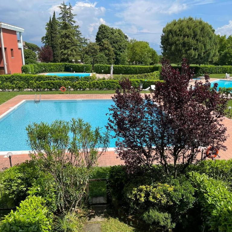 Garda Fiordaliso vista lago 4 posti letto - Appartamento con 1 Camera da Letto - 25