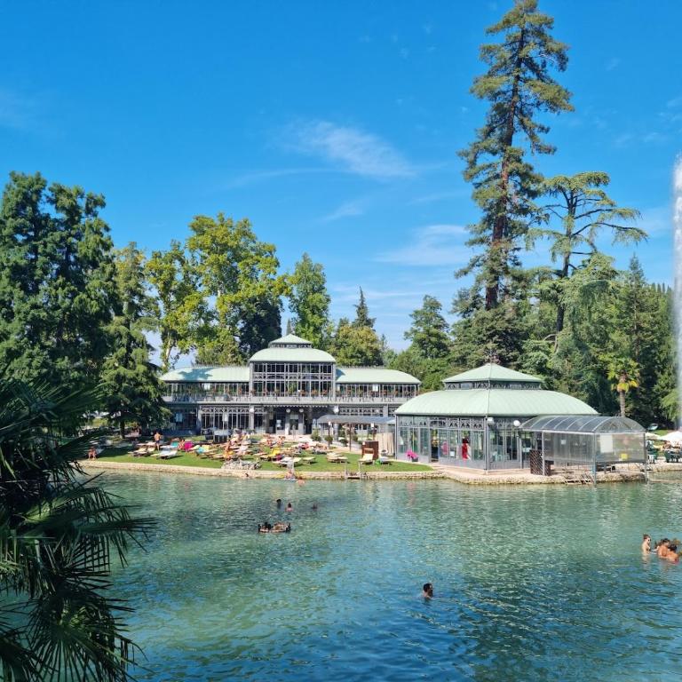 Garda Fiordaliso vista lago 4 posti letto - Appartamento con 1 Camera da Letto - 27