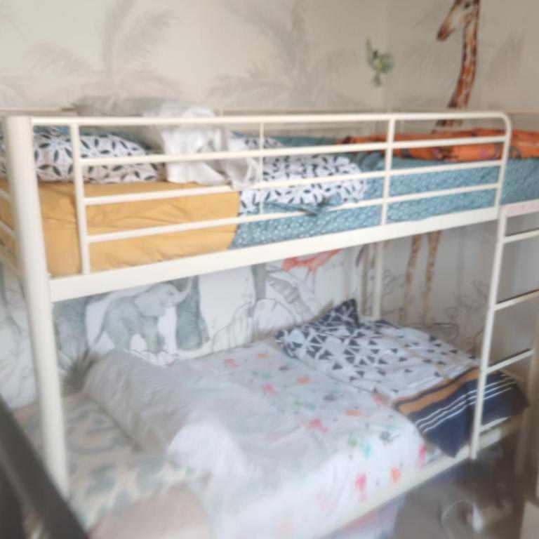Bulle tropicale jungle - Appartement 1 Chambre - 26