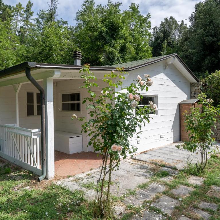 Montaione Country House Amarrante, Pool, Ac - Villa con Piscina Privata - 61