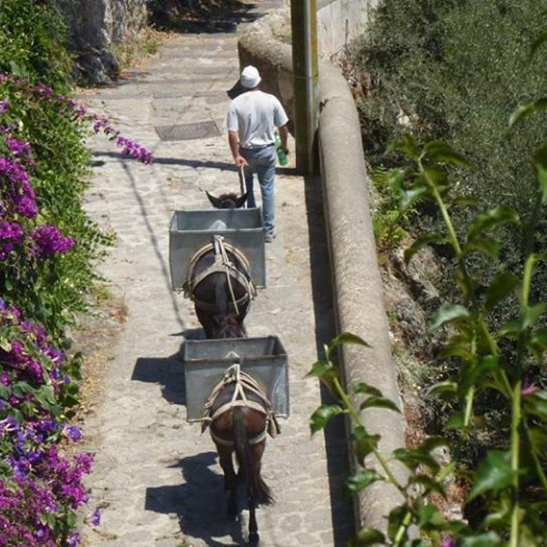 Amalfi, Panorama, Relax & Privacy! - Appartamento con 1 Camera da Letto - 34