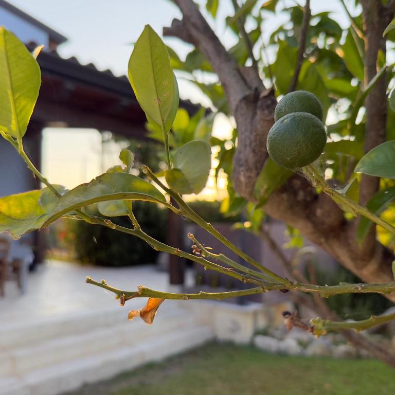 Casa Azzurra - Haus mit 4 Schlafzimmern - 3