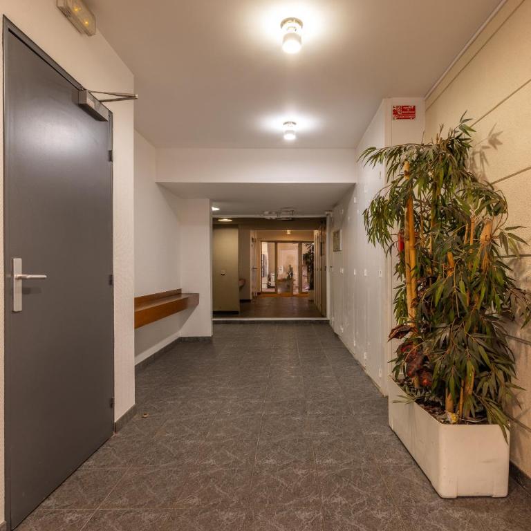 LB Vacation Rentals I A Quiet Place with Terrace in the Heart of Cannes - Apartment mit 1 Schlafzimmer - 29