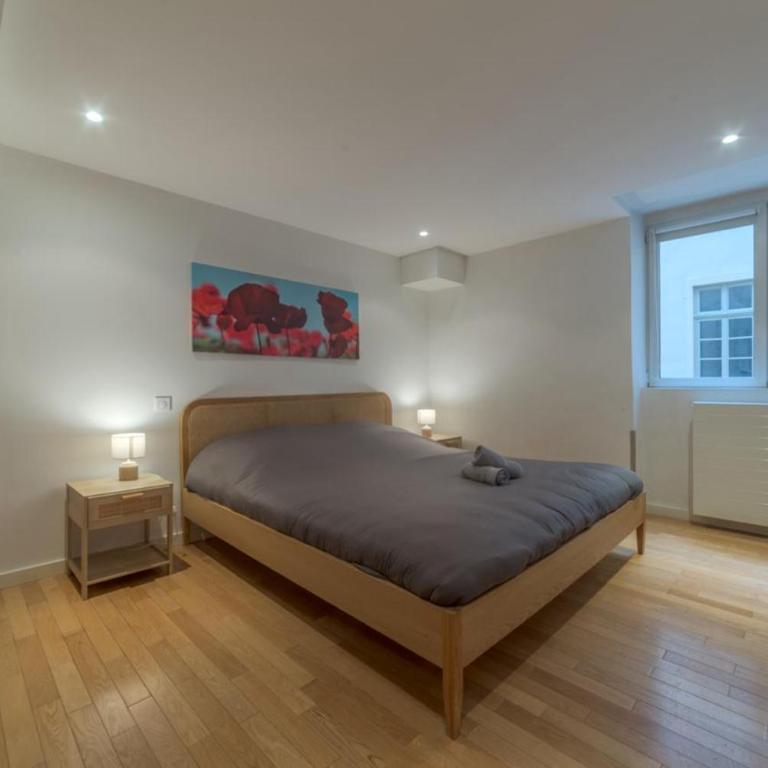 Magnifique appartement - Place Bellecour - Appartamento - 22