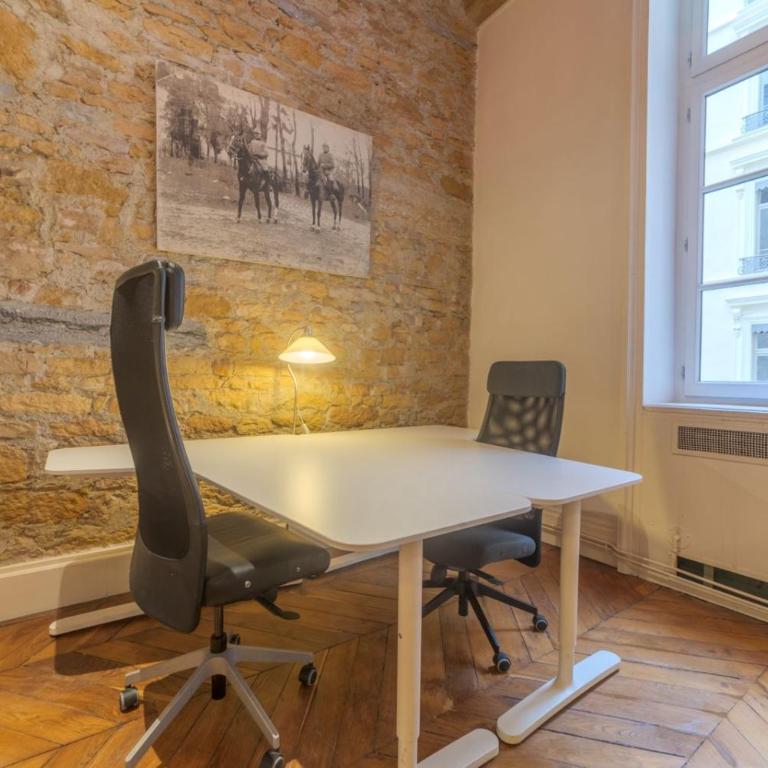 Magnifique appartement - Place Bellecour - Appartamento - 10