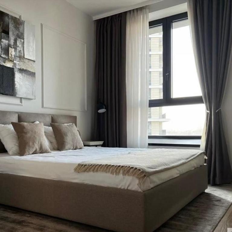 BW Wilson - One-Bedroom Apartment - 2