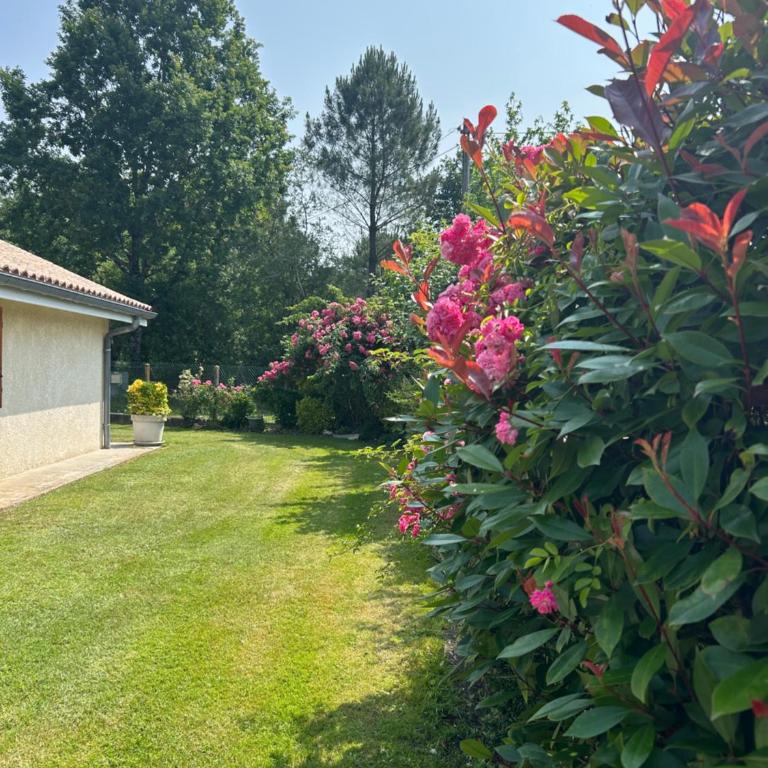 Villa au milieu des pins climatisée - Villa - 3