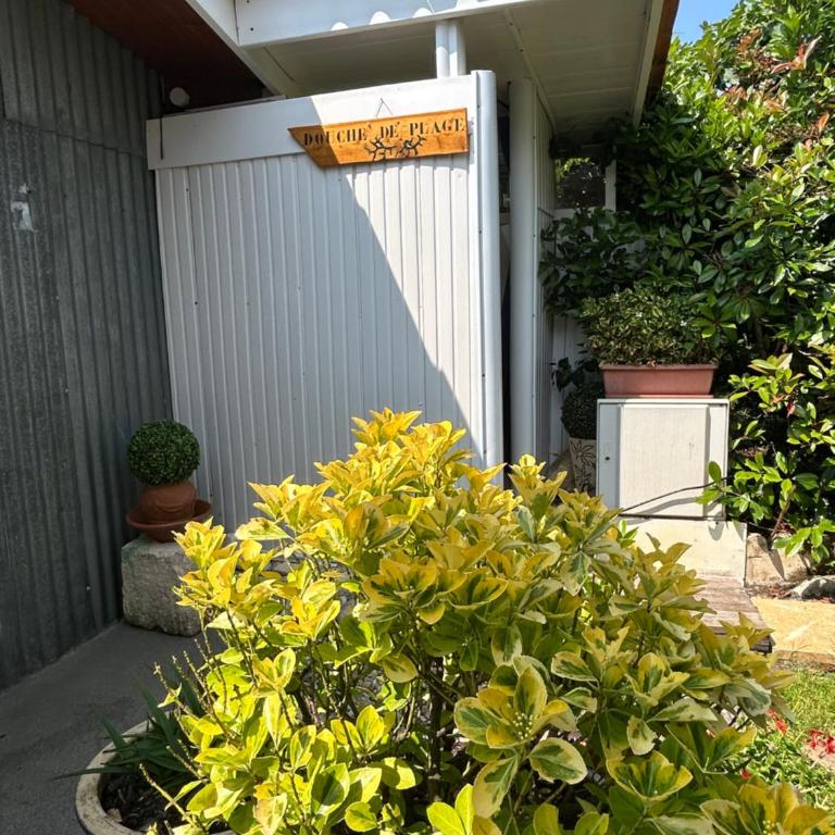 Villa au milieu des pins climatisée - Villa - 7