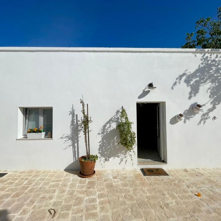 Il Noce - Holiday home - Casa con 1 Camera da Letto - 12