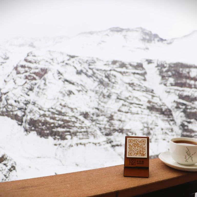 HOM I Duplex 2D2B Valle Nevado Cerca de las Pistas - Apartment - 16