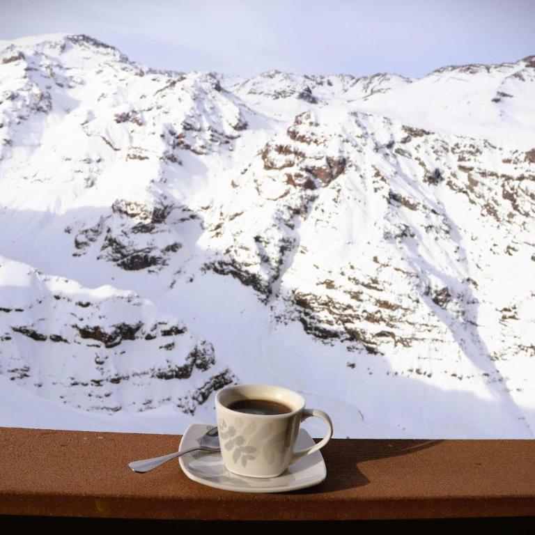 HOM I Duplex 2D2B Valle Nevado Cerca de las Pistas - Apartment - 23