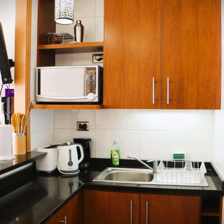 HOM I Duplex 2D2B Valle Nevado Cerca de las Pistas - Apartment - 45