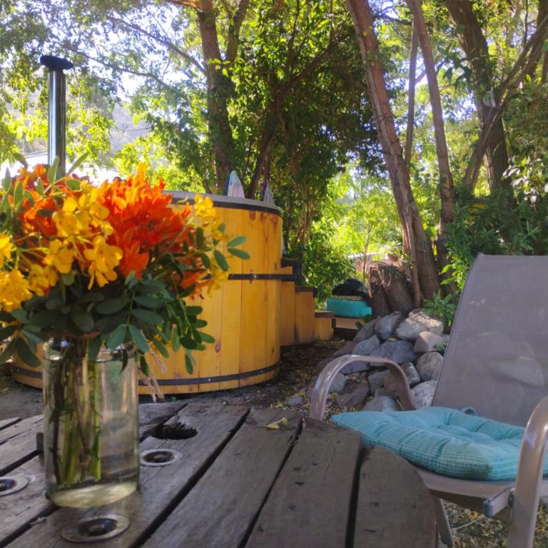 Lodge Rincon Nativo - Apartamento de 1 dormitorio - 20