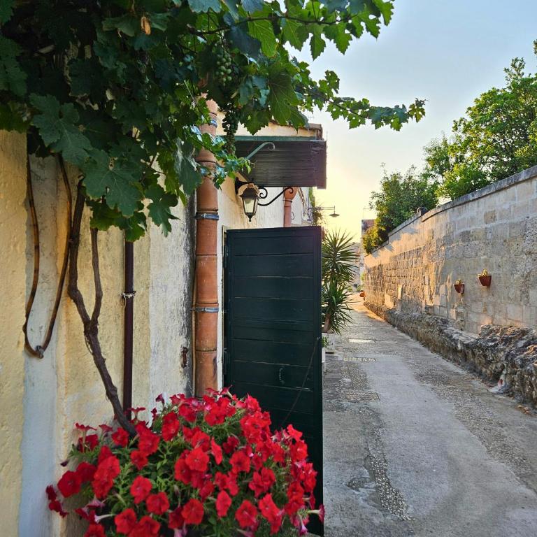 La Suite Delle Stelle - Casa Vacanze - 7