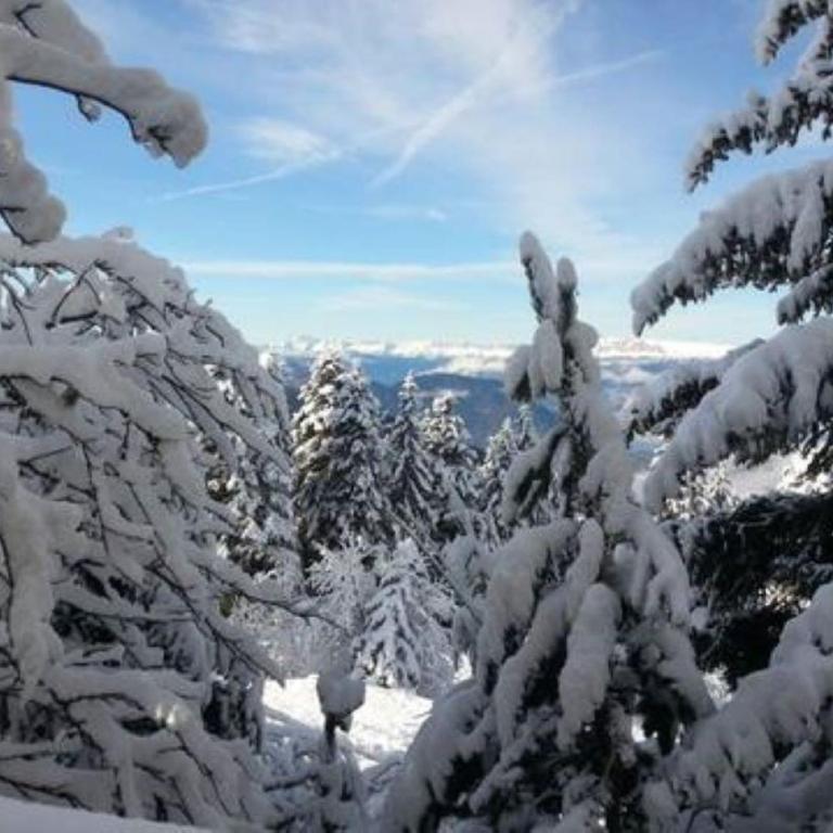 Chalet des lupins - Chalet 1P2 - Chalet - 8