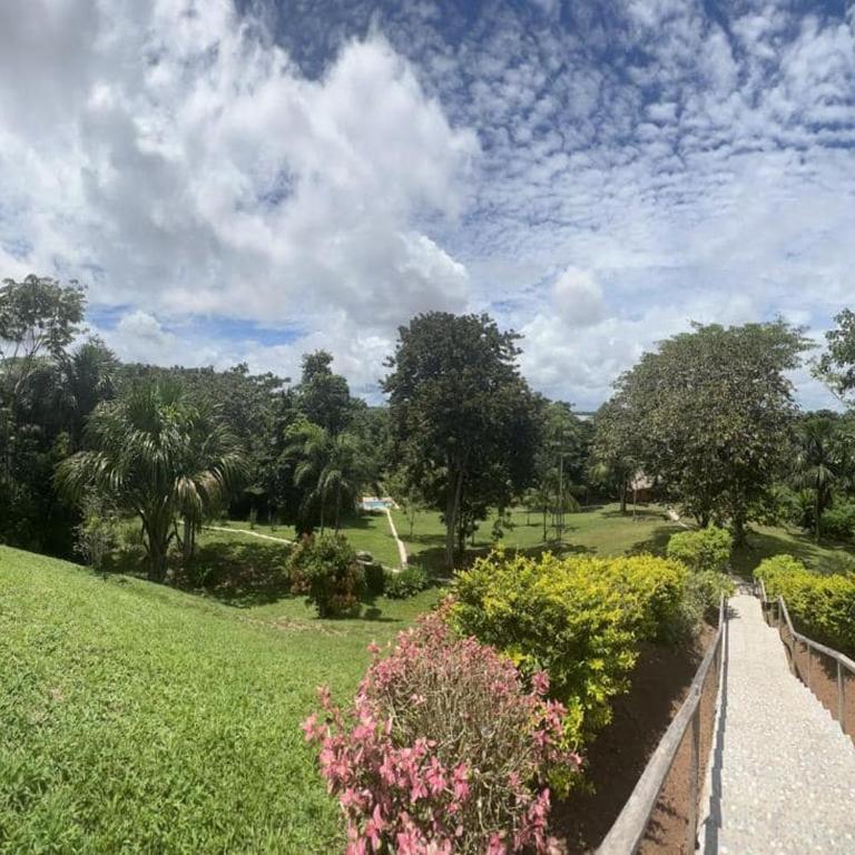 Flower of Life Ayahuasca Healing Center - One-Bedroom Apartment - 5