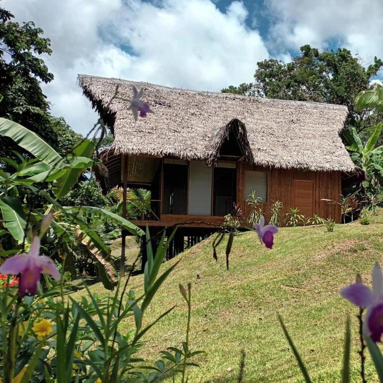 Flower of Life Ayahuasca Healing Center - One-Bedroom Apartment - 8