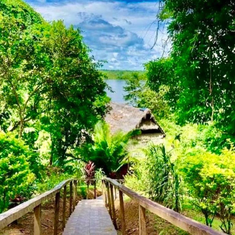 Flower of Life Ayahuasca Healing Center - One-Bedroom Apartment - 9
