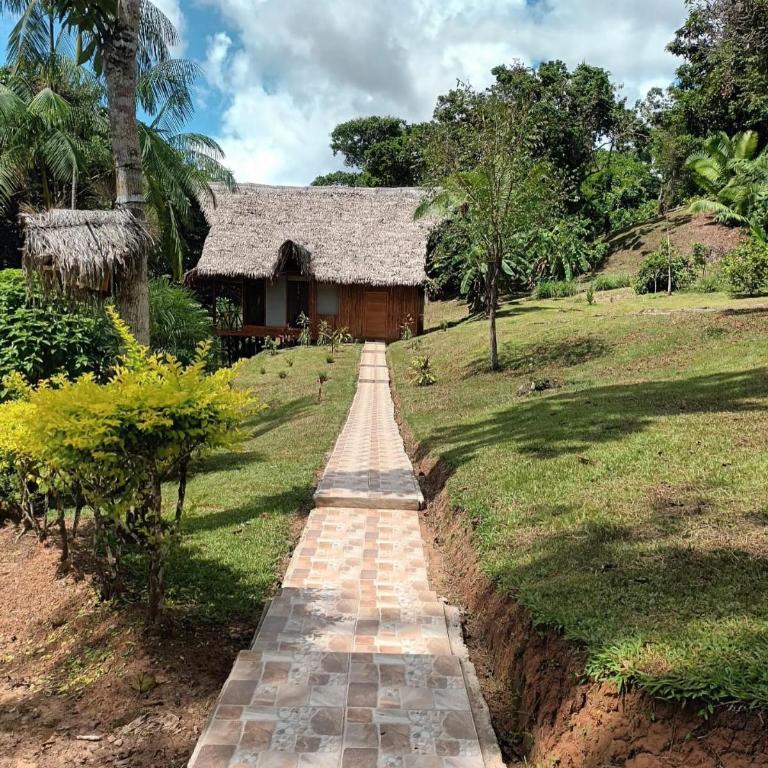 Flower of Life Ayahuasca Healing Center - One-Bedroom Apartment - 10