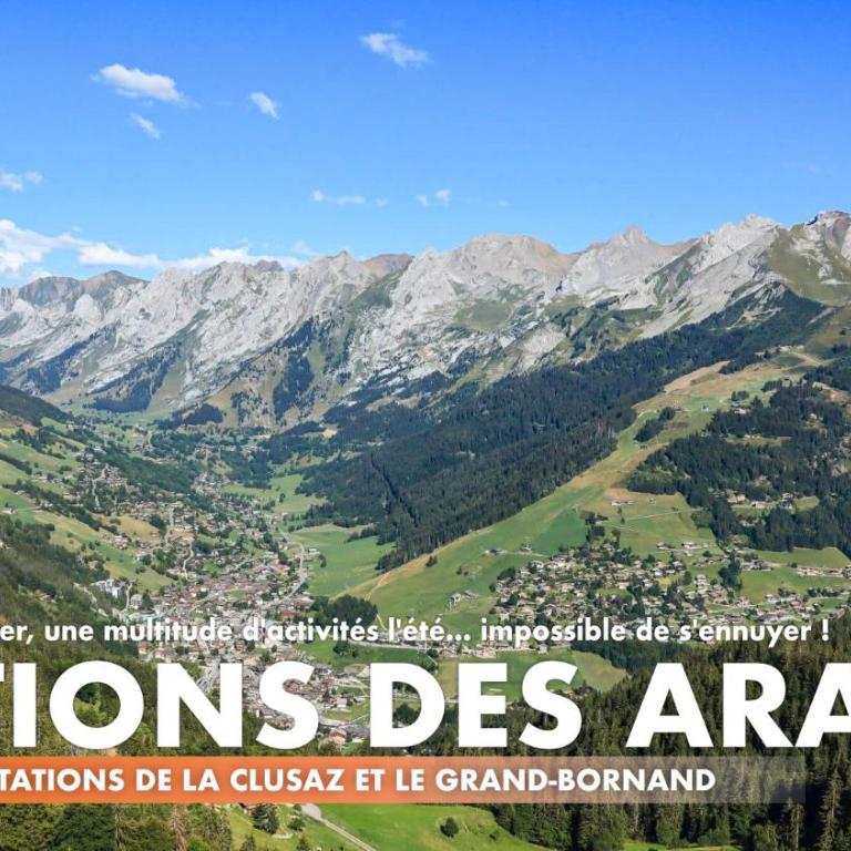 La Terrasse des Aiguilles - Vue montagne, terrasse - AravisTour - Appartement 1 Chambre - 24