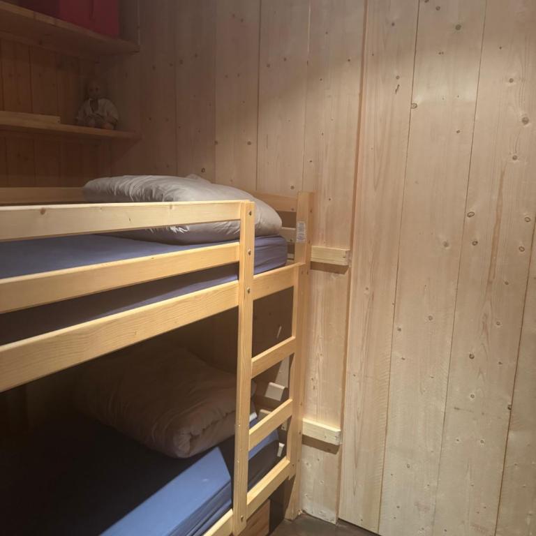 PRALOUP BEL APPARTEMENT STYLE CHALET - Appartement 3 Chambres - 6